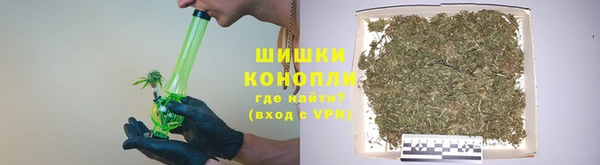 мяу мяу мука Арсеньев