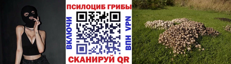 Галлюциногенные грибы прущие грибы  Невинномысск 